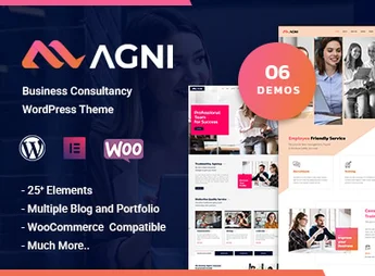 Agni – Consulting Business