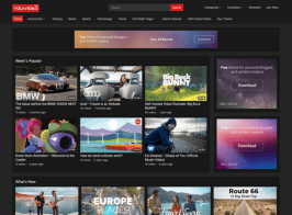 WPEnjoy | YouVideo Pro